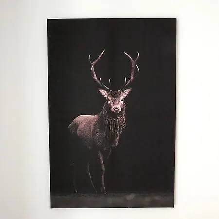 דירה U Piatkow קרפאז'