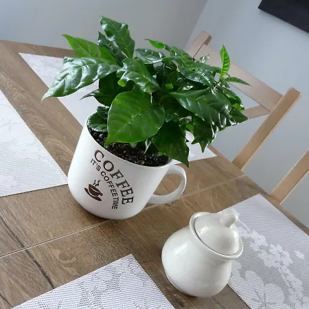 U Piatkow Apartment *