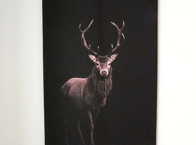 Appartement U Piatkow Karpacz